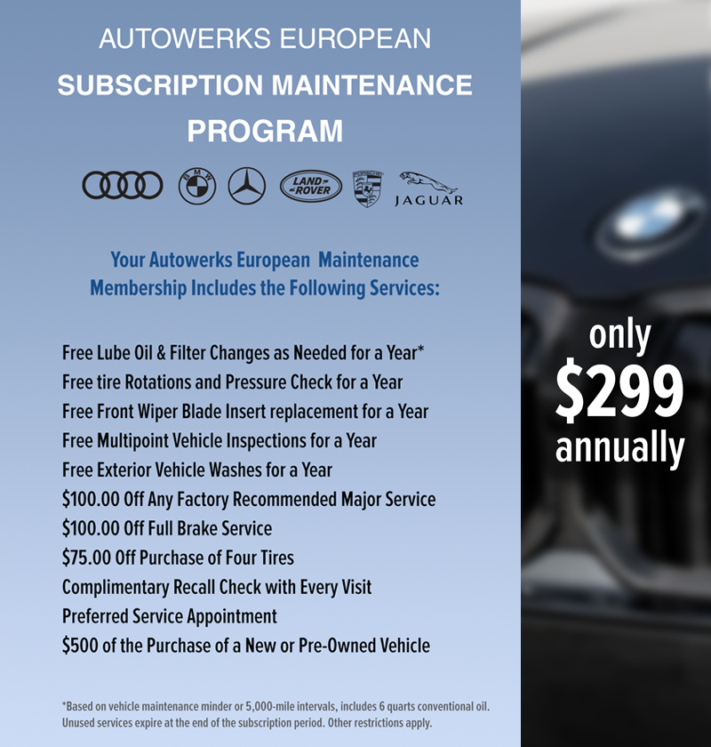 Example of an annual subscription maintenance plan menu